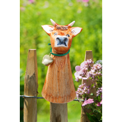 Zaunhocker Kuh Franzi